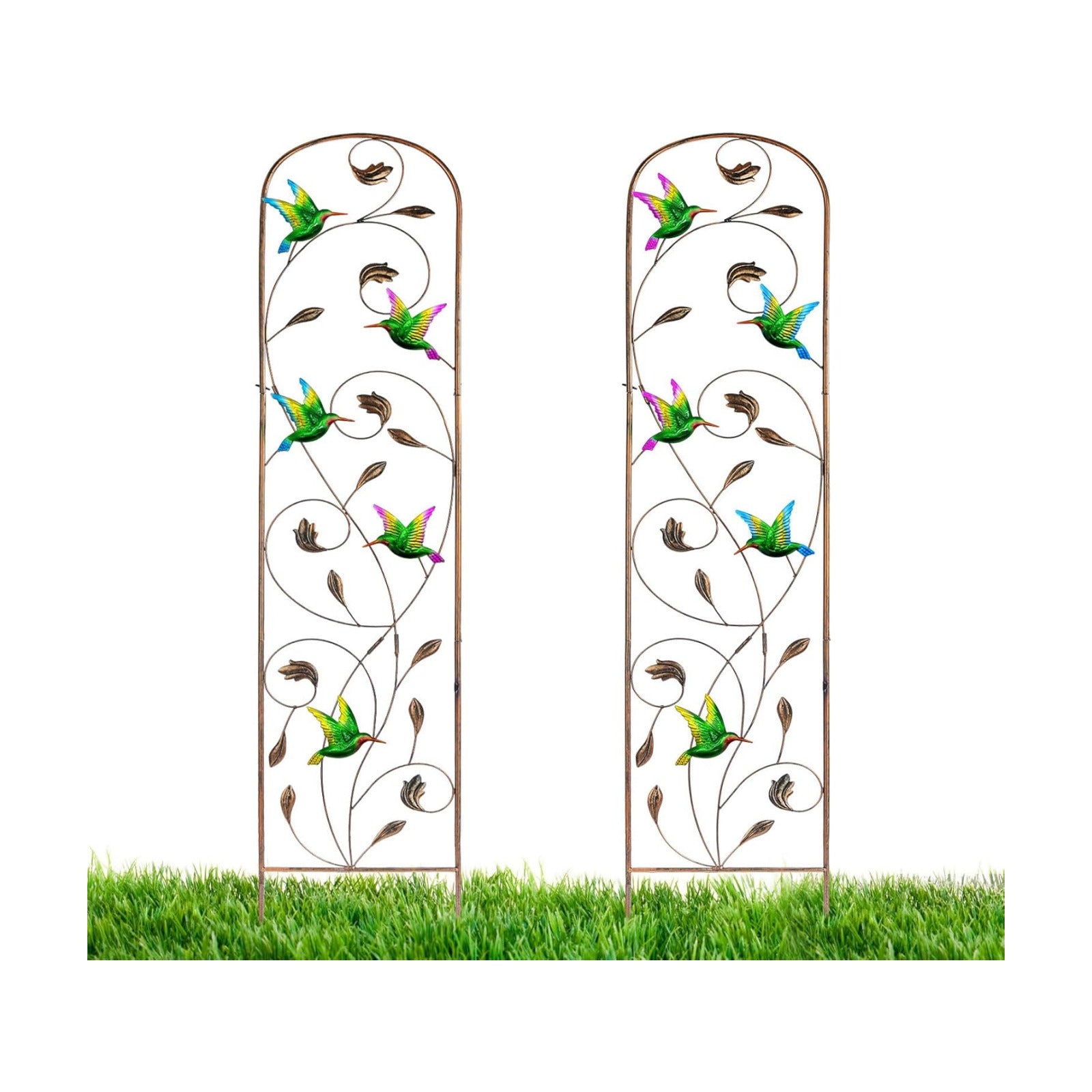 2 Pack Metal Garden Trellis for Climbing Plants | 60 Inch High, Decorative with Hummingbirds, Easy Assembly Arched