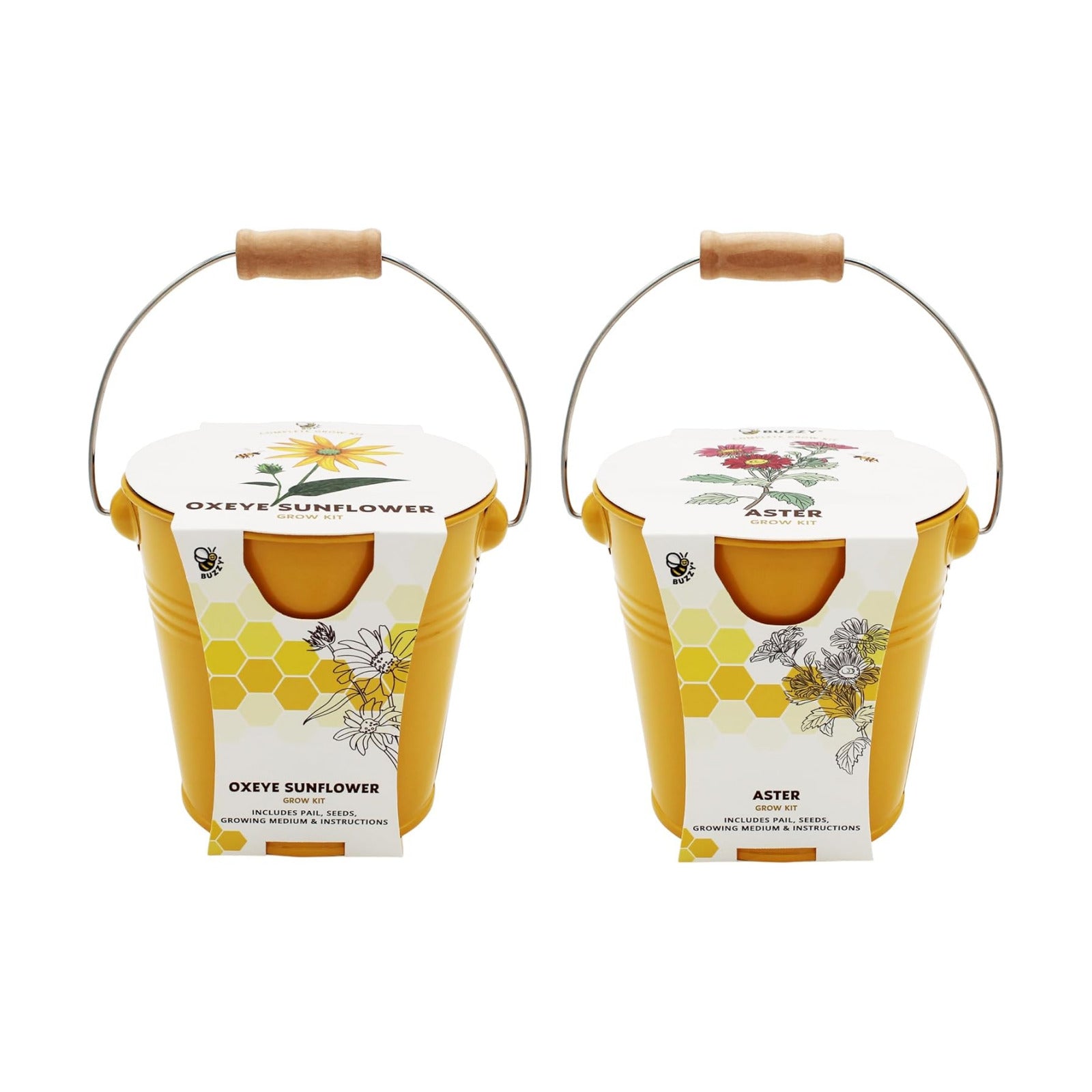 BUZZY Seeds Pollinator 2-Pack Grow Kit with Aster and Ox-Eye Sunflower Seeds, Growing Medium, and Decorative Yellow