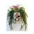 Resin Gothic Skeleton Air Plant Planter for Tilandsia(7'' No.3)
