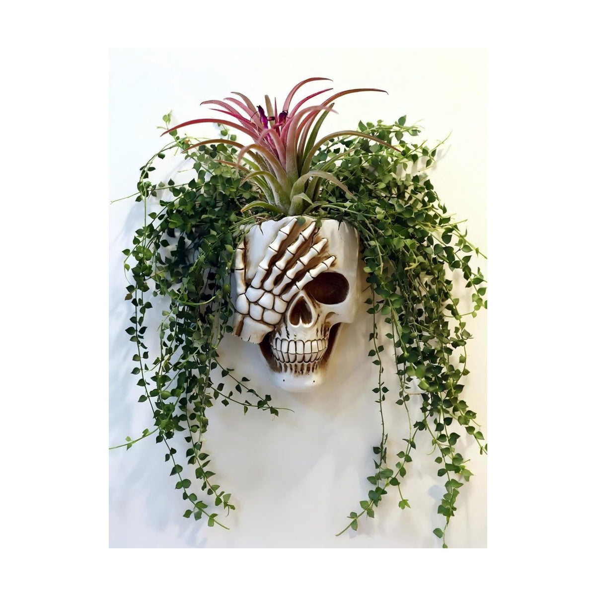 Resin Gothic Skeleton Air Plant Planter for Tilandsia(7'' No.3)
