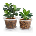 8 Inch Clear Nursery Pots with Drainage and Saucers, 5 Pack Large Clear Plastic Nursery Pots for Plants, Seedling Plant Pots for Repotting and Growing Plants, Flowers & Vegetables(8 inch)