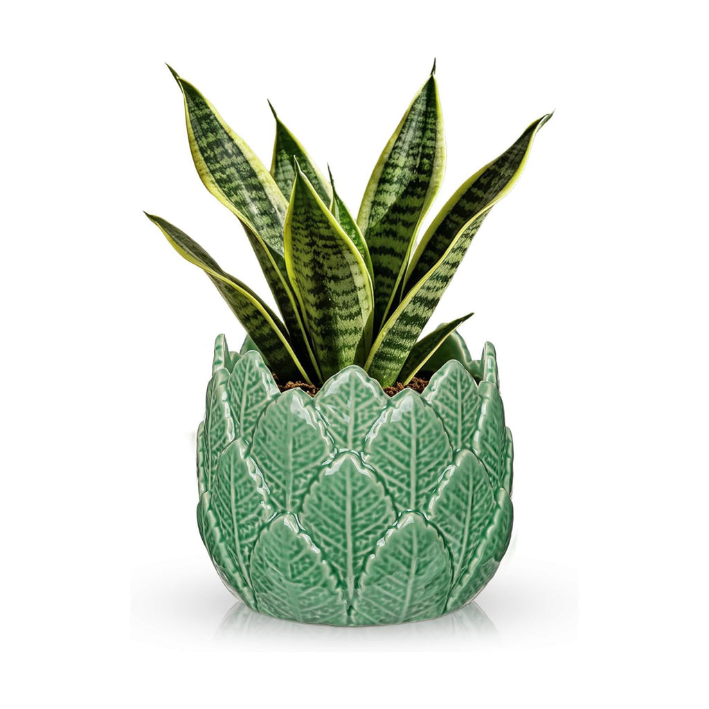 Hollyone 6 inch Ceramic Planter Pot Leaf with Drainage Hole Glazed Ceramic Planter Garden Embossed Botanical Design
