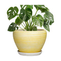 Ceramic Plant Pots - 8 Inch Planter with Drainage Hole and Tray, Decorative Pots for Plants Indoor Outdoor, Round