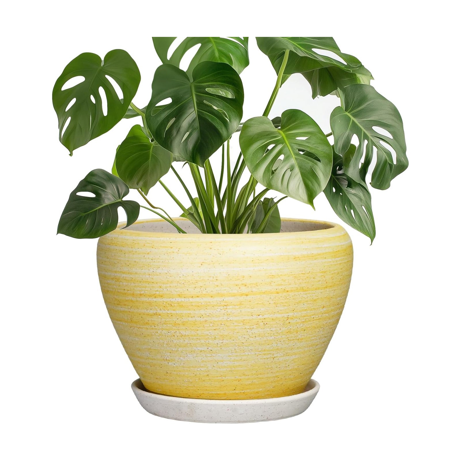 Ceramic Plant Pots - 8 Inch Planter with Drainage Hole and Tray, Decorative Pots for Plants Indoor Outdoor, Round