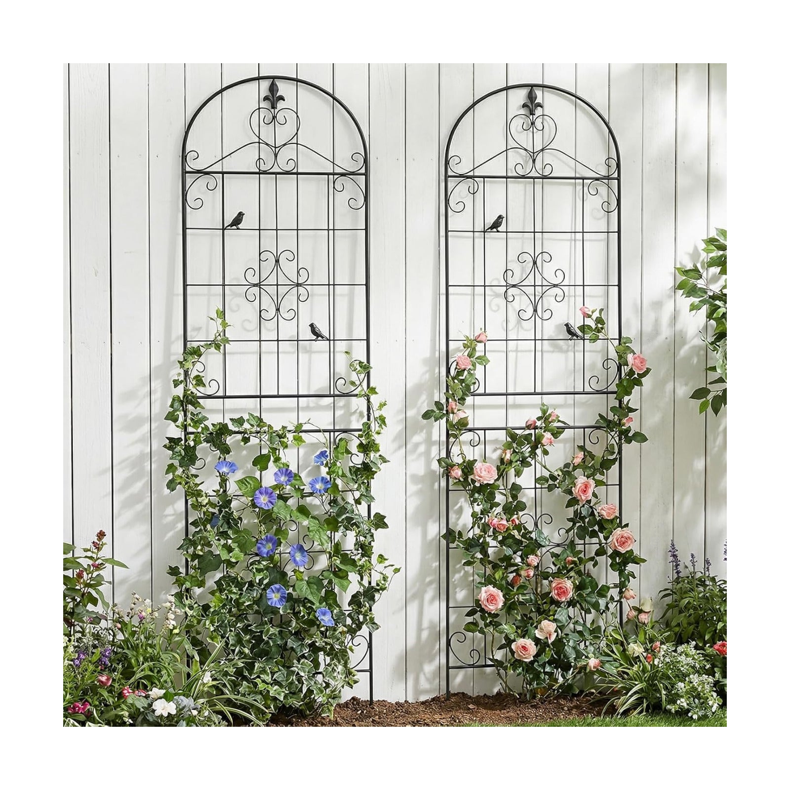 70.8" Black Metal Garden Trellis for Climbing Plants, 2 Pack | Rustproof steel lattice supports roses, clematis