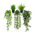 5 Pack Fake Plants - Artificial Hanging Plants & Small Potted Faux Eucalyptus Fern Ivy, UV Resistant Maintenance-Free