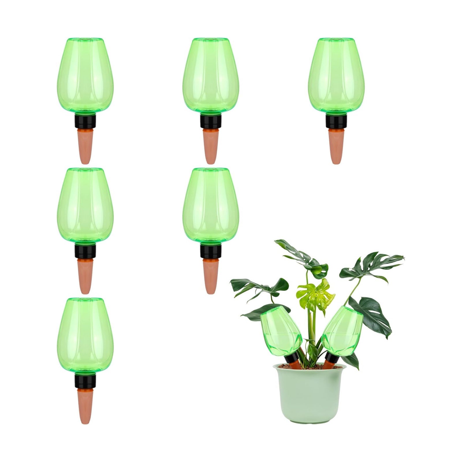 6Pcs 16.9 oz Large Plant Self-Watering Globes Top Fill Plastic Water Bulbs | Slow-Release Terracotta Self-Watering