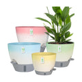 4-Piece Planter Set, 12/10/9/8-inch Self-Watering Pots with Drainage Holes, Deep Trays, Water Level Indicators