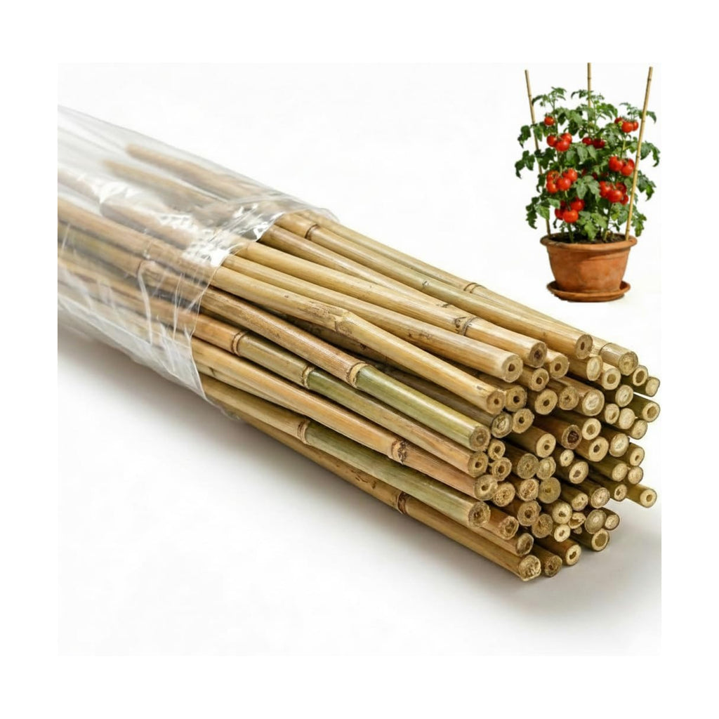65 Pcs Bamboo Plant Stakes 4 Feet, Oltara Natural Bamboo Sticks Garden Stakes for Climbing Plants Support, Bamboo