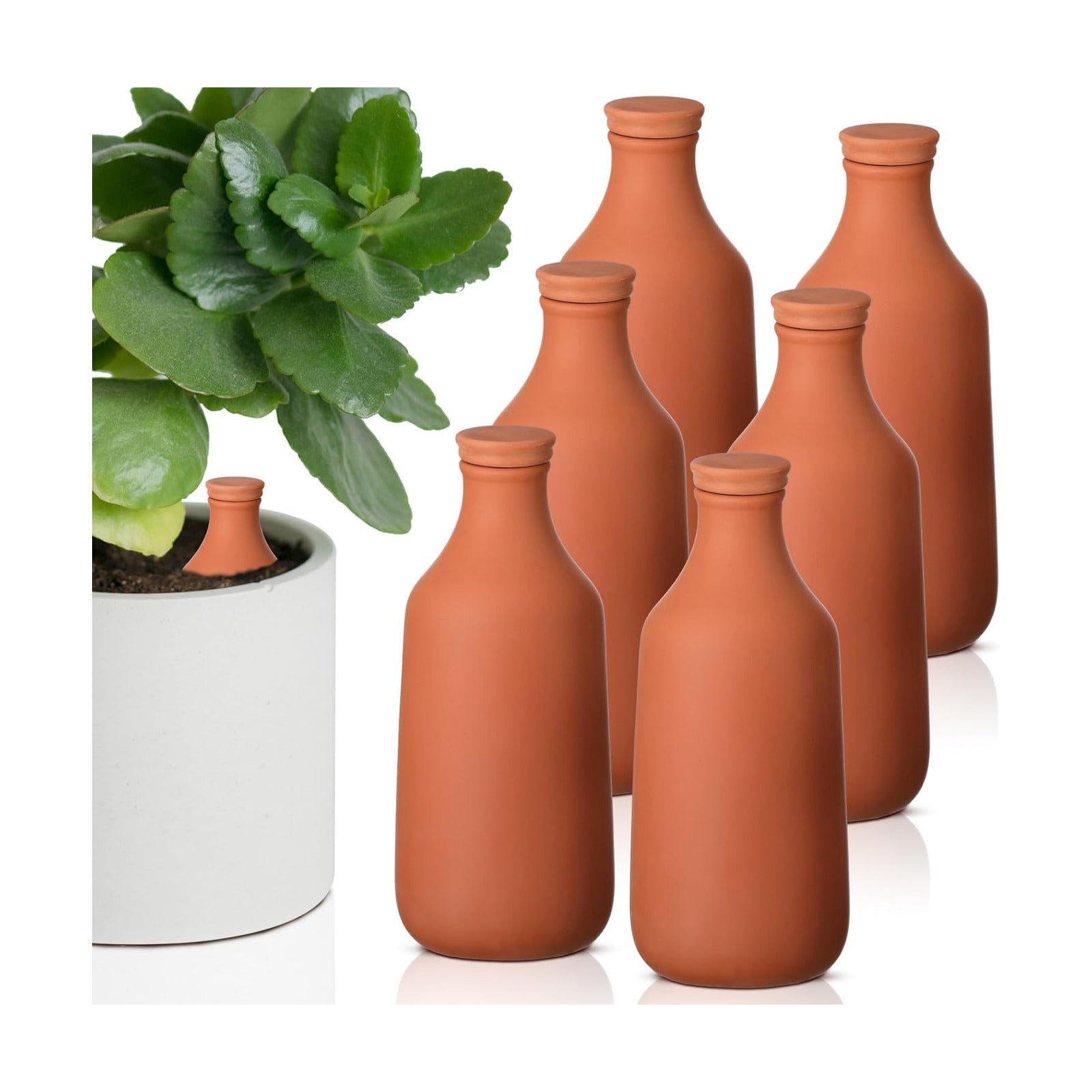 DoubleFill 6 Pcs 18oz Ollas Terracotta Watering Pots Self Watering Planter Insert Terracotta Globes Clay for Outdoor
