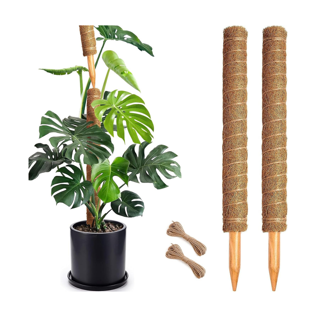 Soupiar 2 Pack 22 Inch Stackable Moss Pole - Thick & Sturdy Natural Coir Totem Plant Support & Garden Stakes for Monstera & Pothos, Indoor Climbing Vining Houseplants, 38" H Max