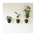 Make Good PlantPod Luxe Self-Watering Wall Planters (Set of 3, Forest Green) - Easy to Water and Install - Lightweight - Design Your Own Vertical Garden - Wall Planters for Indoor Plants