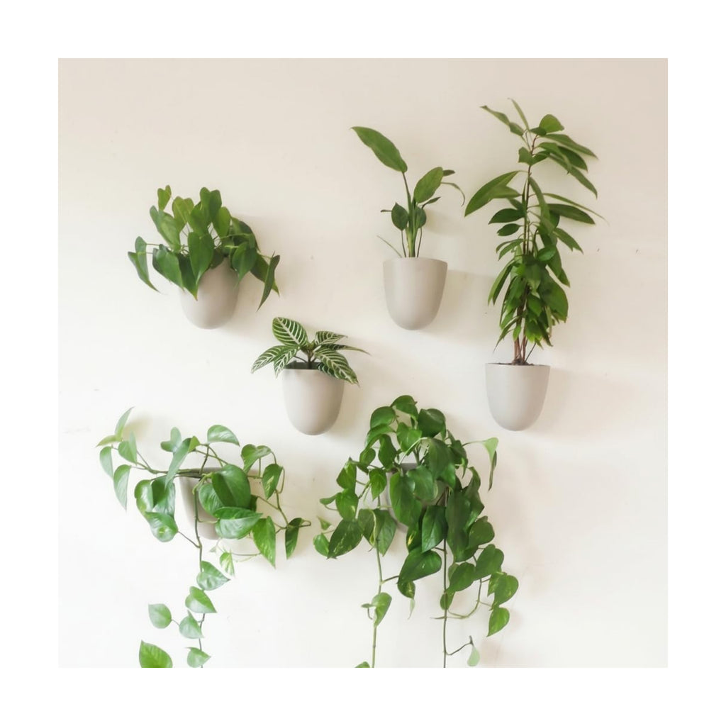 Make Good PlantPod Luxe - Self-Watering Wall Planters (Set of 6, Stone) - Easy to Water and Install - Lightweight - Design Your Own Vertical Garden - Wall Planters for Indoor Plants