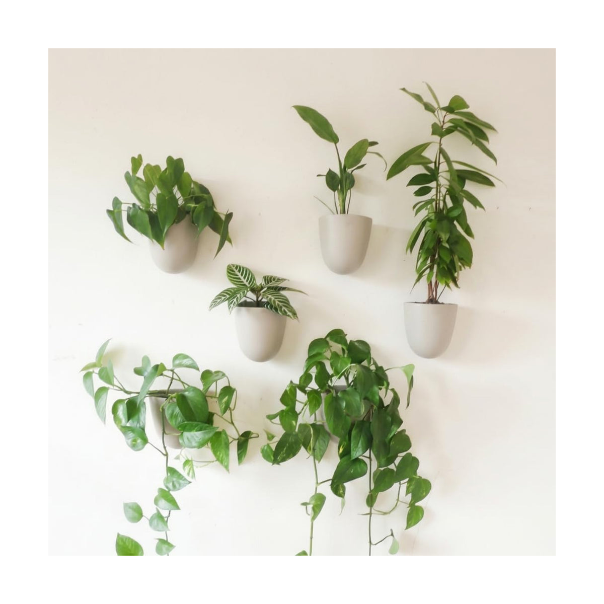 Make Good PlantPod Luxe - Self-Watering Wall Planters (Set of 6, Stone) - Easy to Water and Install - Lightweight - Design Your Own Vertical Garden - Wall Planters for Indoor Plants