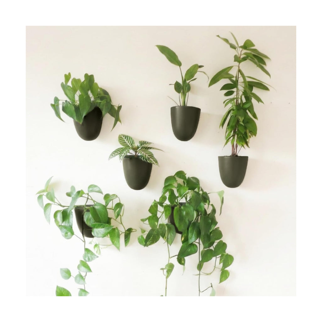 Make Good PlantPod Luxe - Self-Watering Wall Planters (Set of 6, Forest Green) - Easy to Water and Install - Lightweight - Design Your Own Vertical Garden - Wall Planters for Indoor Plants
