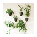 Make Good PlantPod Luxe - Self-Watering Wall Planters (Set of 6, Forest Green) - Easy to Water and Install - Lightweight - Design Your Own Vertical Garden - Wall Planters for Indoor Plants