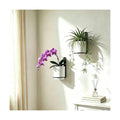 2 Pcs Wall Mounted Hanging Planter Vase for Indoor Outdoor Plants,Modern Metal Wall and Ceiling Hanging Flower Pot with