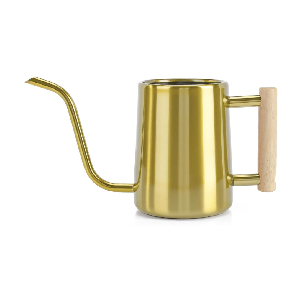 Watering Can Indoor Plants, 35 oz/1000 ml Metal Stainless Steel Watering Can Pot with Long Spout for Indoor House Plants Bonsai Outdoor Garden Flower Decorative (Gold)