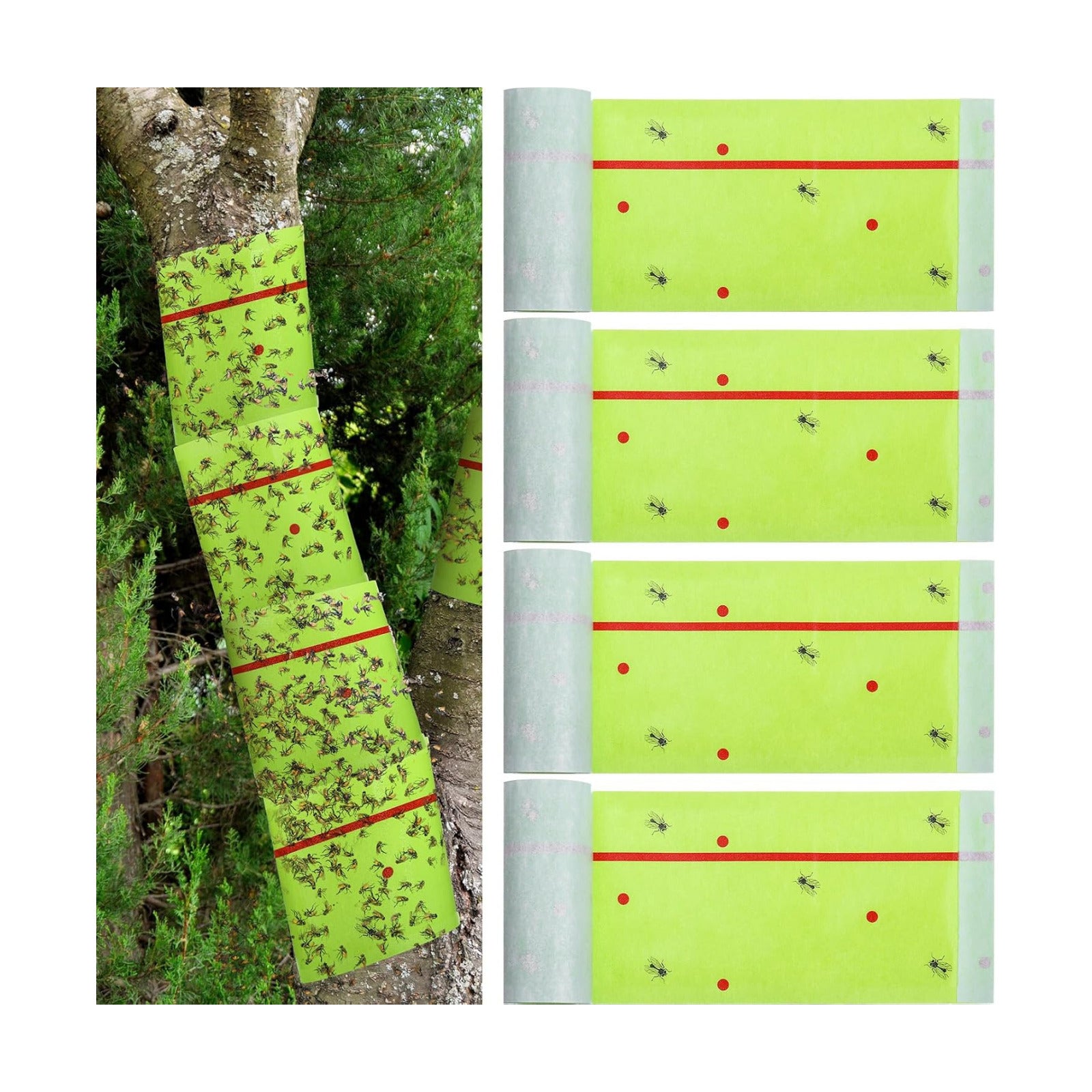 Qualirey 4 Rolls Spotted Lantern Fly Tree Tape Trap 30ft,Green | Sticky Paper for Orchard Protection, Outdoor Pest