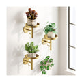 DELLAN Wall Plant Holder, 3-Pack Floating Shelves for Plants, All Gold | Wall mounted indoor hanging plants shelf &