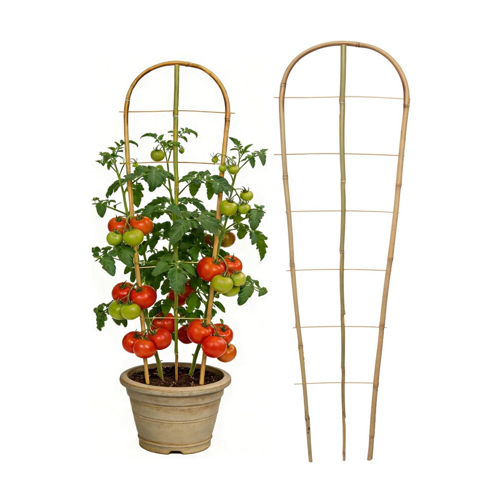 4 Pack Natural Bamboo U-Shaped Trellis 4 Feet, Oltara Plant Support Trellis for Outdoor and Indoor Climbing Plants