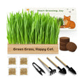 LUOJIBIE Cat Grass Kit for Indoor Cats, Cat Grass Seeds Set, Non-GMO Wheat Grass, Mothers Day Gifts for Mom, Unique