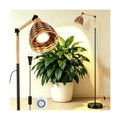 Grow Lights for Indoor Plants Full Spectrum, Plant Lights for Indoor Growing with 30W 4000k, 24H Timer, Standing Tall Grow Lamp for Middle Large Plants(72'', Height Adjustable)