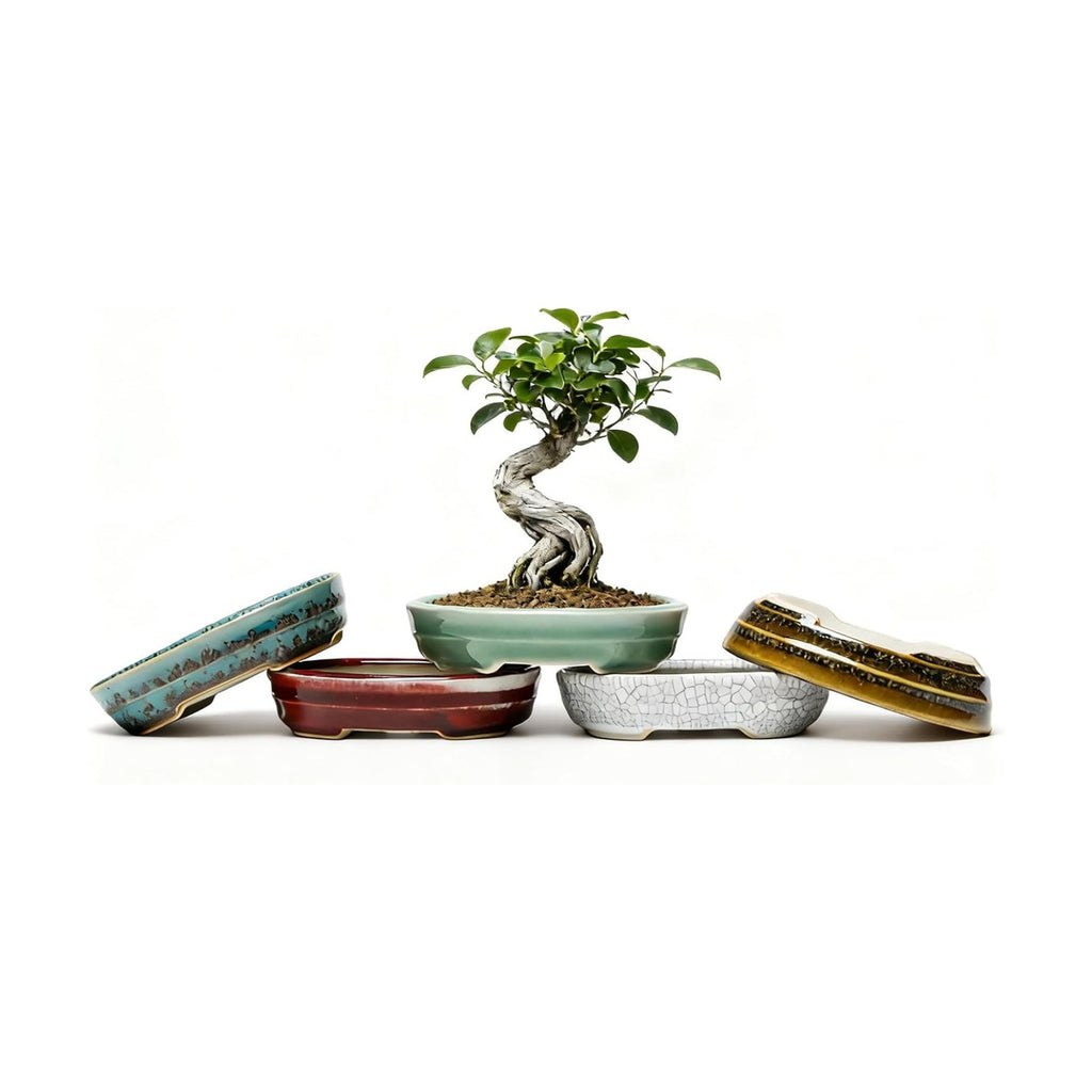 5-Pack Bonsai Pots with Drainage, 5" Shallow Red & White Planters | Glazed ceramic bonsai pot with drainage hole, small