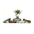 5-Pack Bonsai Pots with Drainage, 5" Shallow Red & White Planters | Glazed ceramic bonsai pot with drainage hole, small