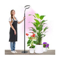 Grow Light Indoor Plants, 20W Full Spectrum Lamp, Height Adjustable Stand | 4/8/12H Auto Timer Setting,10 Dimmable