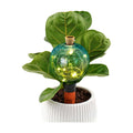 VOREEN Crackle Glass Plant Watering Globe with Terracotta Spike,Self-Watering Irrigation for Potted Plants, with Solar