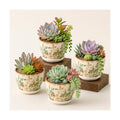 Ceramic Plant Pots, Nursery Pots with Drainage Hole, 3.5 Inch Succulent Pots for Plants, Small Indoor Flower Pots