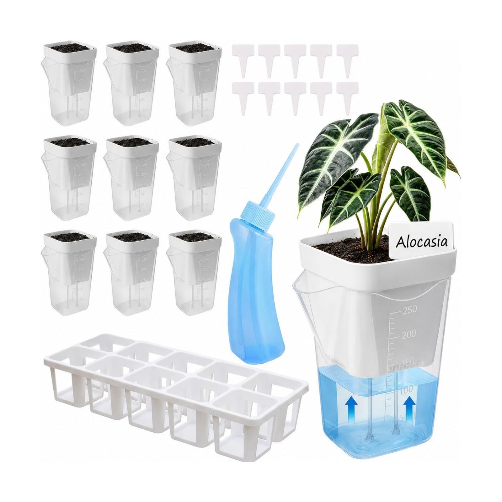 10 Pack 2.5" Self Watering Pots for Indoor Plants with Anti-Tip Tray & Reservoir Refill Bottle, Seed Starter Kit for