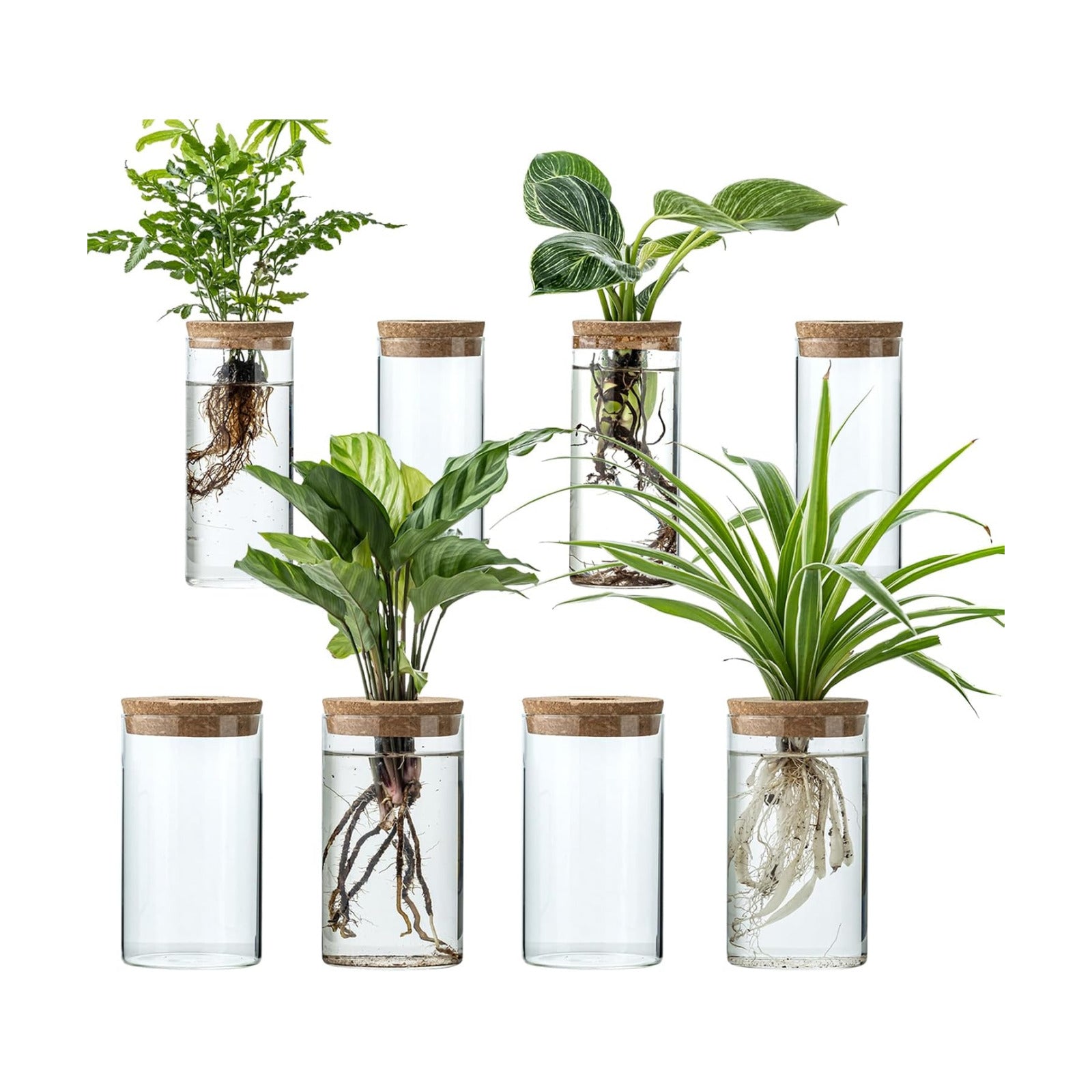 Propagation Vases for Plants, Set of 8(4 Large & 4 Small) Glass Plant Propagation Stations, Plant Propagation Jars for