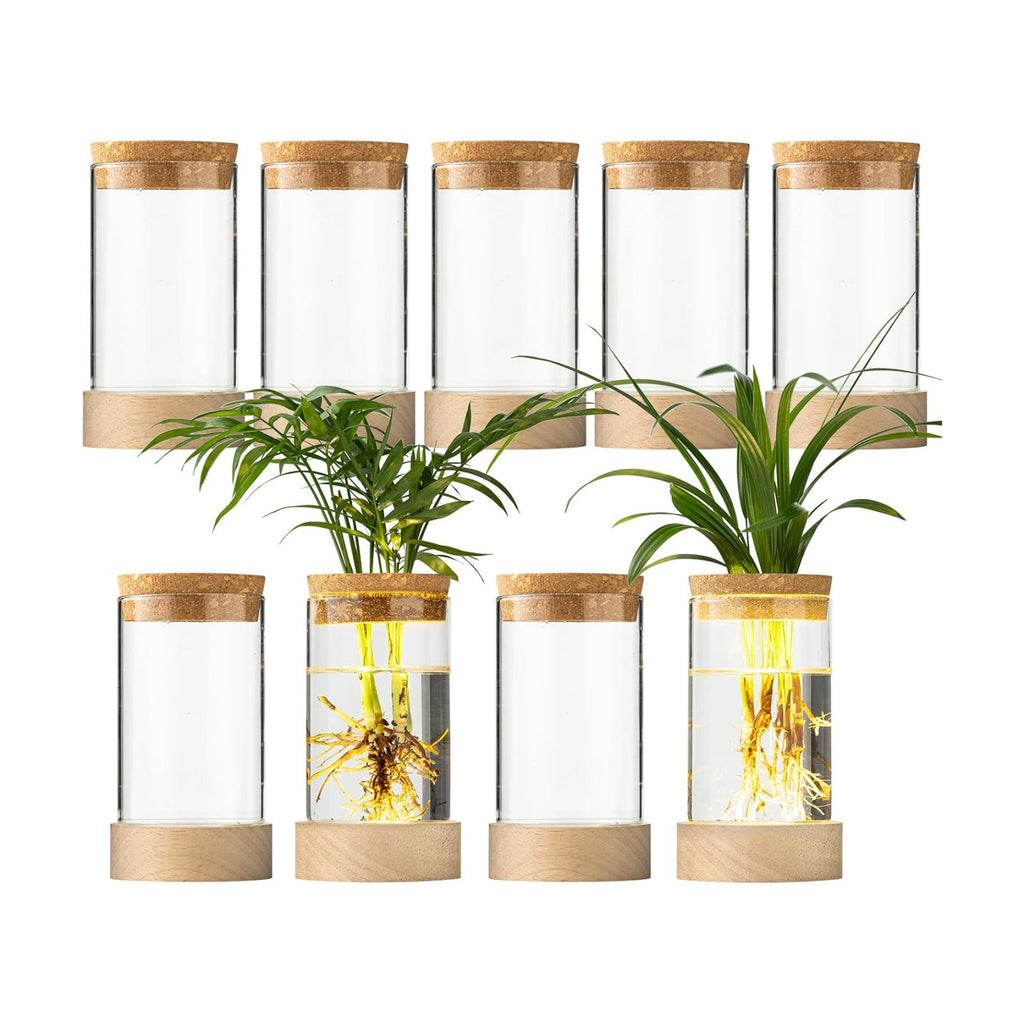 Glass Plant Propagation Stations, Propagation Vases for Plants with Ambient Light Base, Hydroponic Vase for Home &