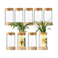 Glass Plant Propagation Stations, Propagation Vases for Plants with Ambient Light Base, Hydroponic Vase for Home &