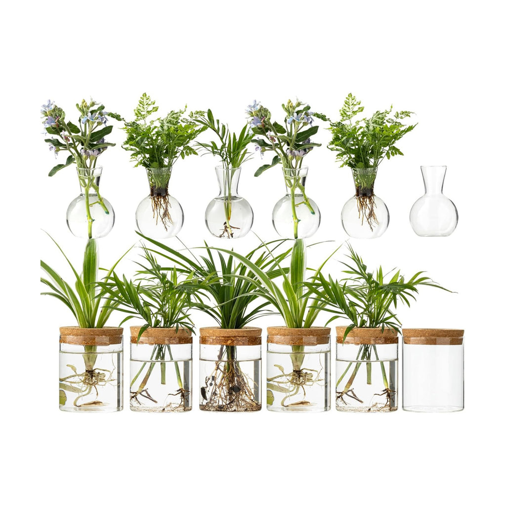 Plant Propagation Stations, 2 Style Glass Planter Terrariums, Propagation Vases for Plant, Plant Propagation Jars for