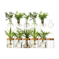 Plant Propagation Stations, 2 Style Glass Planter Terrariums, Propagation Vases for Plant, Plant Propagation Jars for