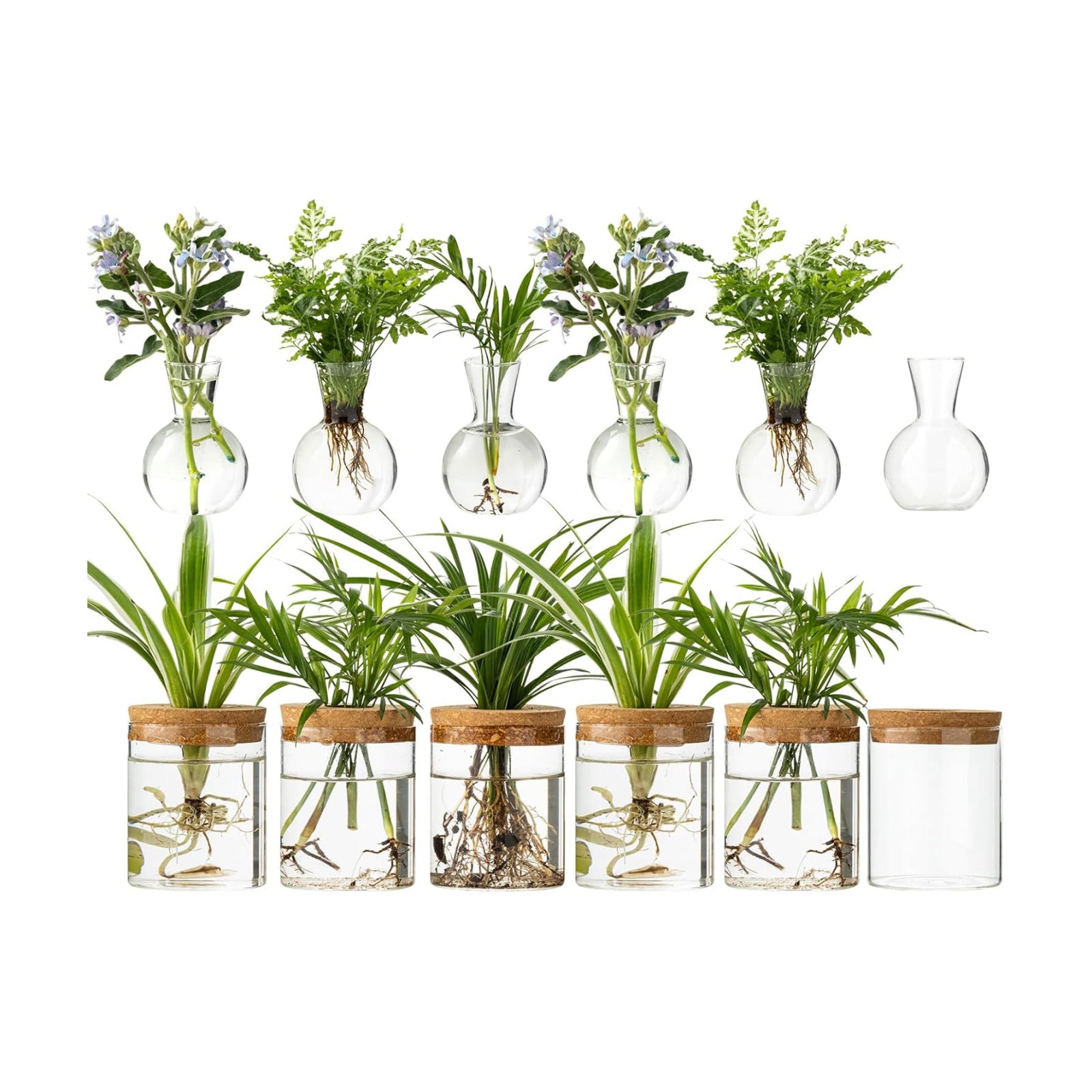 Plant Propagation Stations, 2 Style Glass Planter Terrariums, Propagation Vases for Plant, Plant Propagation Jars for