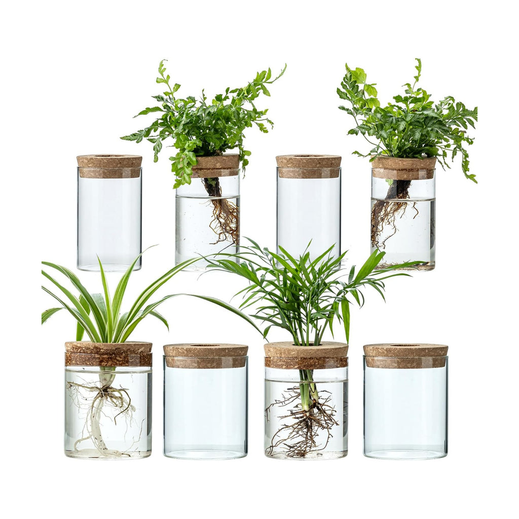 Plant Propagation Stations for Plants, 2 Size Glass Propagation Vases for Propagating Hydroponic Indoor Home Office