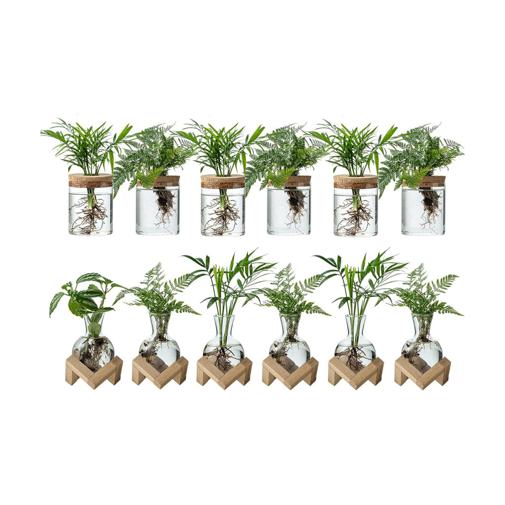 Plant Propagation Station, 2 Style Glass Planter Terrarium Set for Hydroponic Plants | Home Office Tabletop Decor