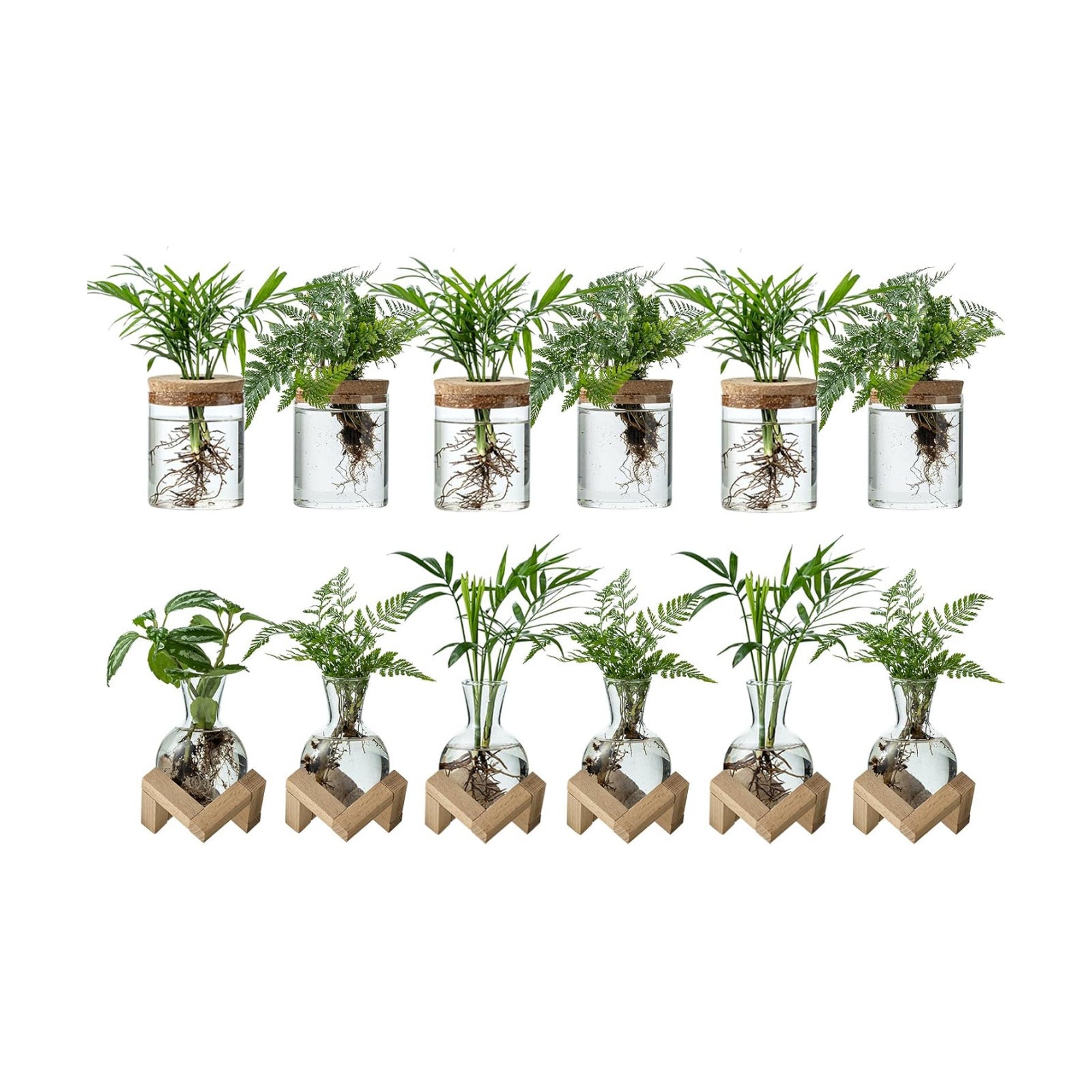 Plant Propagation Station, 2 Style Glass Planter Terrarium Set for Hydroponic Plants | Home Office Tabletop Decor
