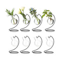 Desktop Glass Plant Propagation Station with Metal Stand, Tabletop Plant Terrarium,Hydroponics Vase for Propagating