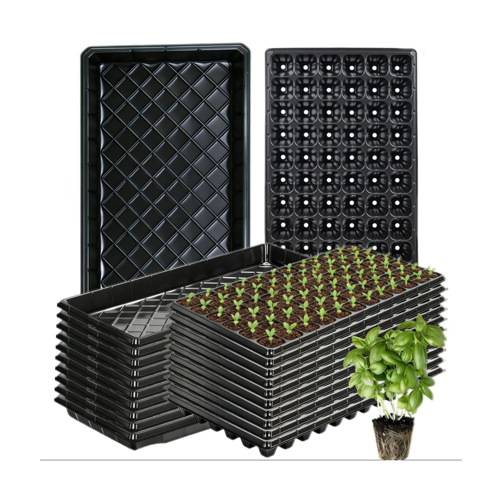 72-Cell Seed Trays with Drainage Trays-10 Sets 20 Packs-1020 Durable Plastic Plant Tray for Seed Germination（21x11x1.81