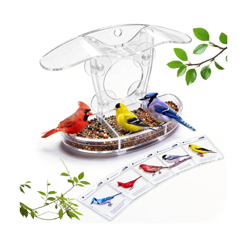 Window Bird Feeder with 5 Acrylic ID Cards - Clear Bird House for Outside with Removable Tray & Drain Holes - 4 Strong Suction Cups, Panoramic View for Wild Birds, Cat TV, Nature Gift