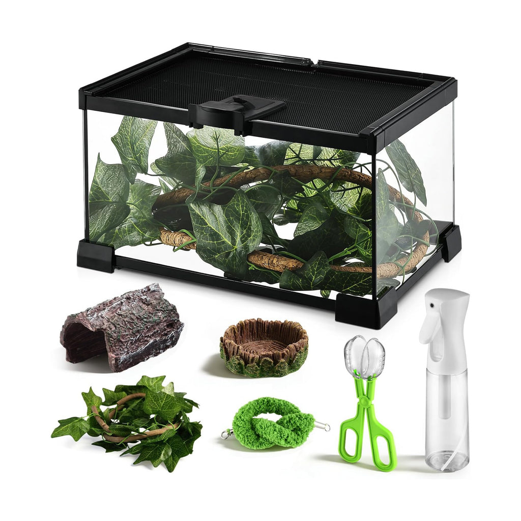 Reptile Terrarium Glass Kit 12" x 8" x 6" Starter Habitat for Tarantula, Succulents, Frogs, or Hermit Crabs, Tank with