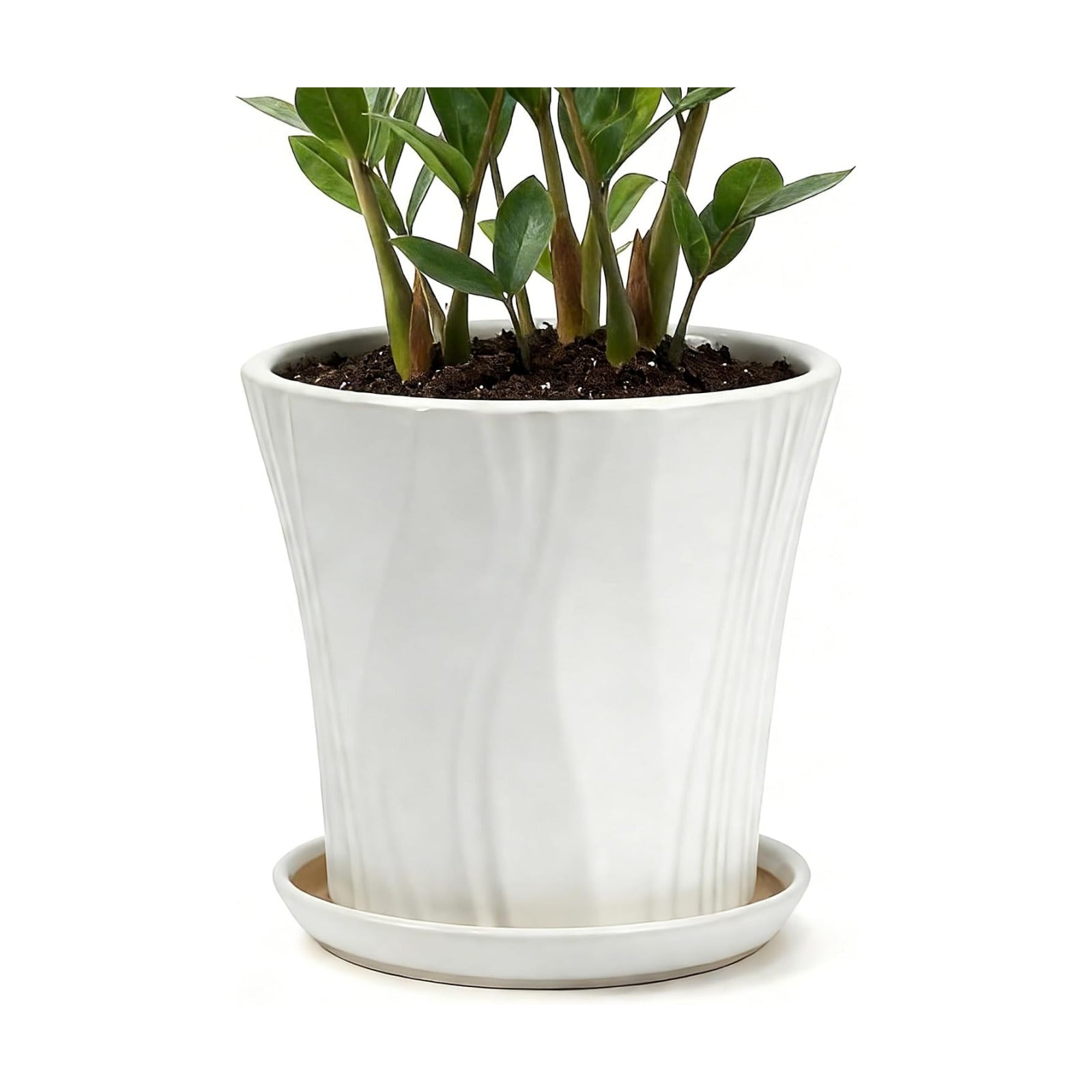 10 Inch Ceramic pots for Plants with Saucer Drainage Leak-Proof Mesh, Round Plant Pot with Gardening Gloves for Indoor