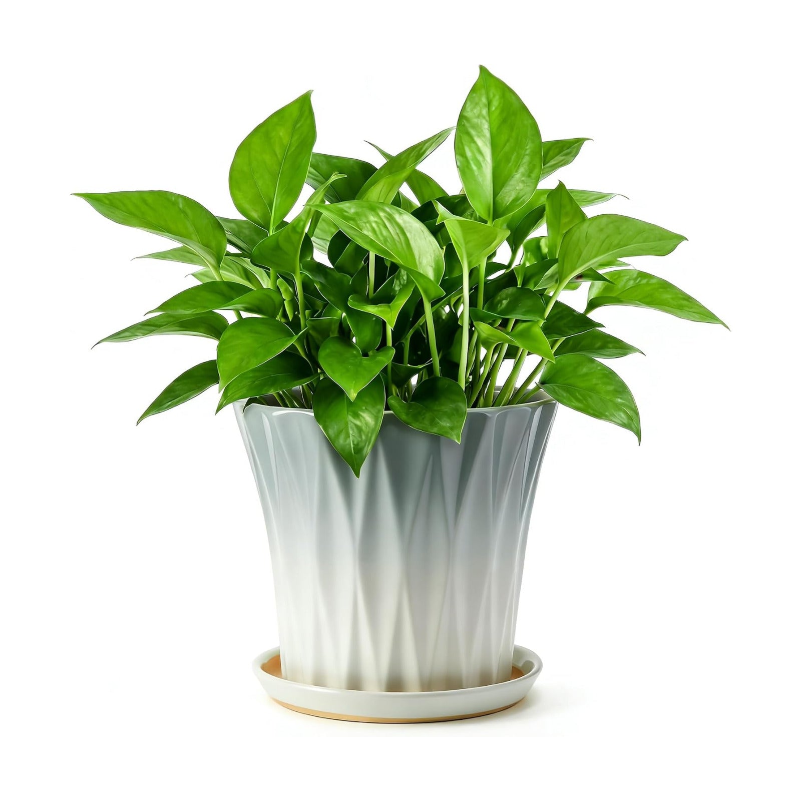 8.3 Inch Ceramic pots for Plants with Saucer Drainage Leak-Proof Mesh, Round Plant Pot with Gardening Gloves for Indoor