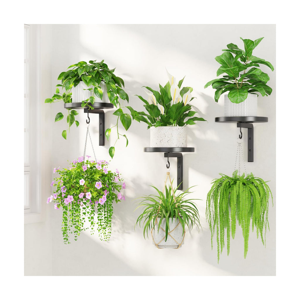 LASZOLA Plant Hanger Holder Window Shelf Wall Mounted Indoor, 3 Pcs Black | Modern Metal Floating Stand, Hanging Flower