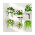 LASZOLA Plant Hanger Holder Window Shelf Wall Mounted Indoor, 3 Pcs Black | Modern Metal Floating Stand, Hanging Flower